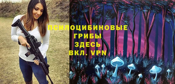 apvp Кодинск