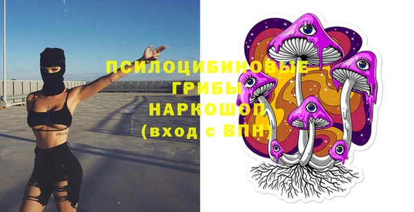 скорость Козловка